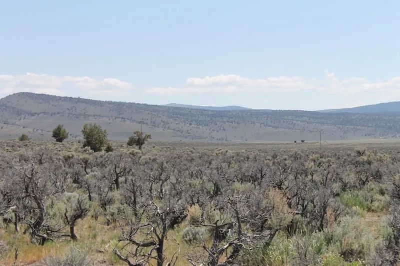 Decorative background for Moon Valley Ranch Tract 331 image 7