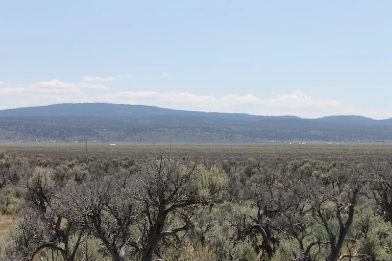 Decorative background for Moon Valley Ranch Tract 331 image 8