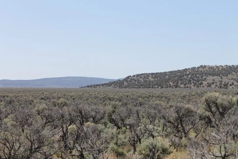 Decorative background for Moon Valley Ranch Tract 331 image 10