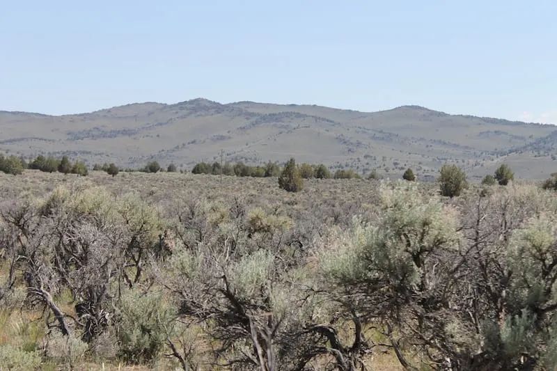 Decorative background for Moon Valley Ranch Tract 331 image 11
