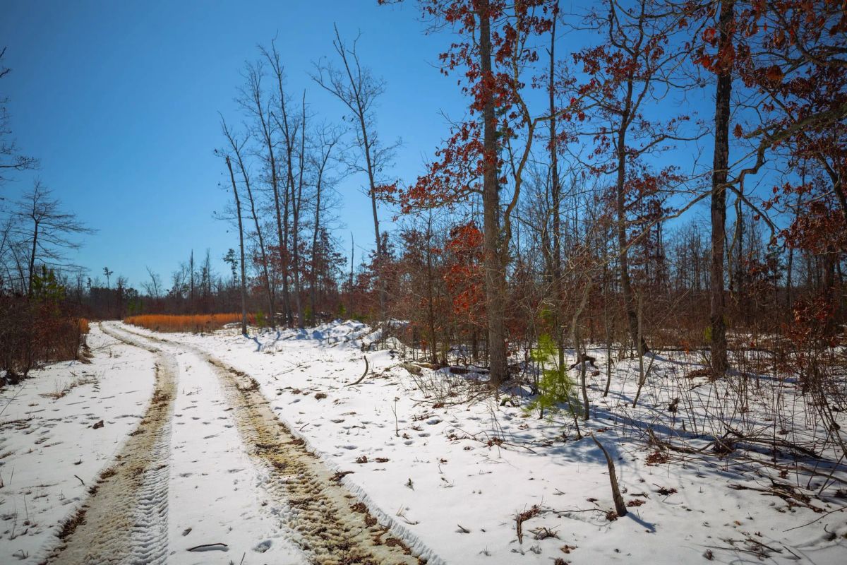 Sleepy Hollow Phase I Tract 26 - Image 2