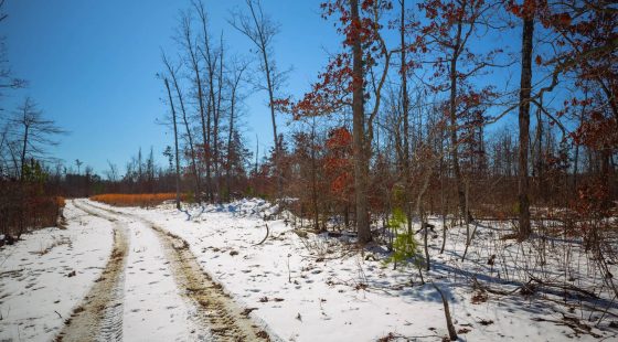 Sleepy Hollow Phase I Tract 26 in Texas County, MO