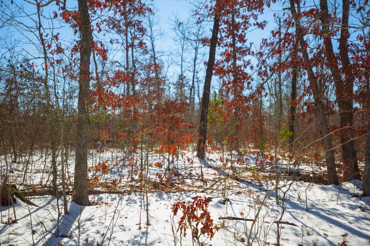 Sleepy Hollow Phase I Tract 26 - Image 4