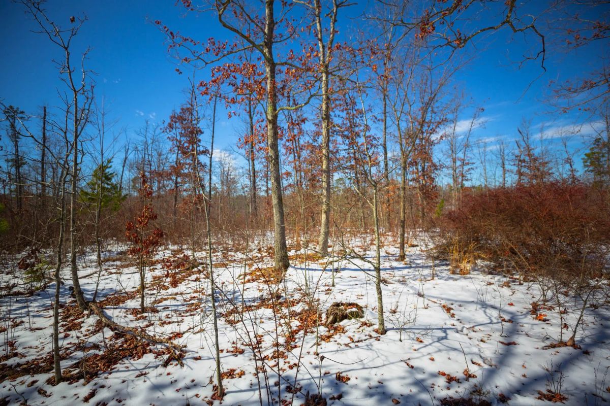 Decorative background for Sleepy Hollow Phase I Tract 26 image 11