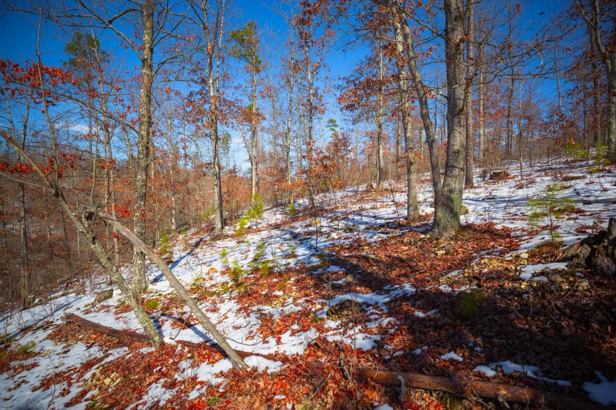 Decorative background for Sleepy Hollow Phase I Tract 26 image 14