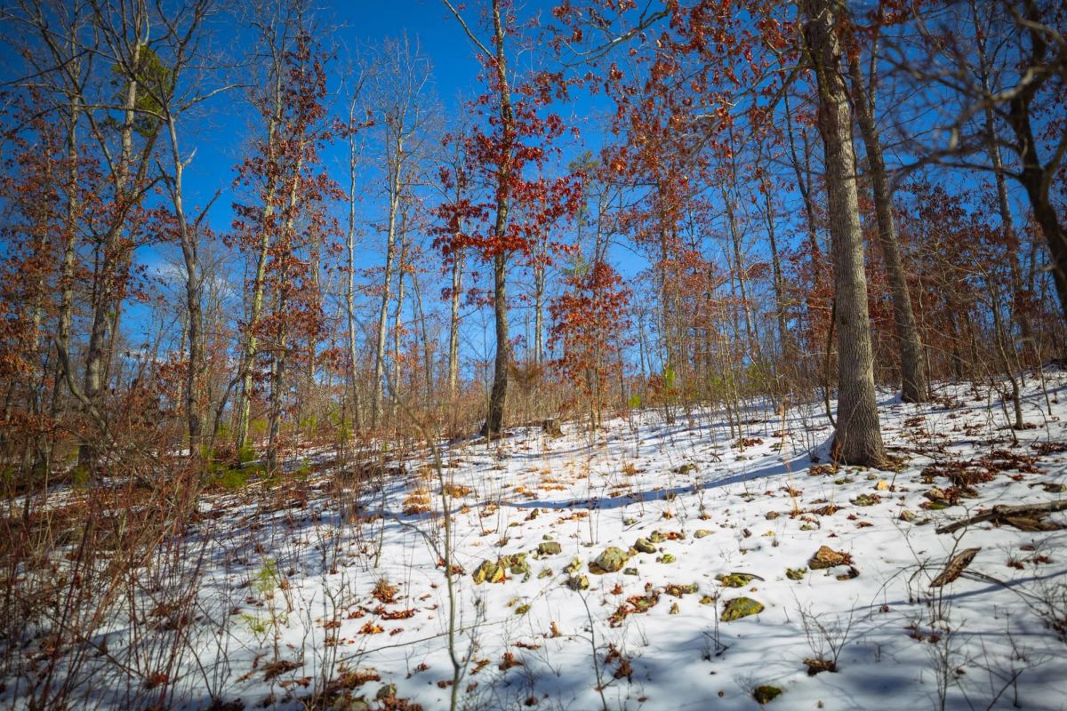 Decorative background for Sleepy Hollow Phase I Tract 26 image 18