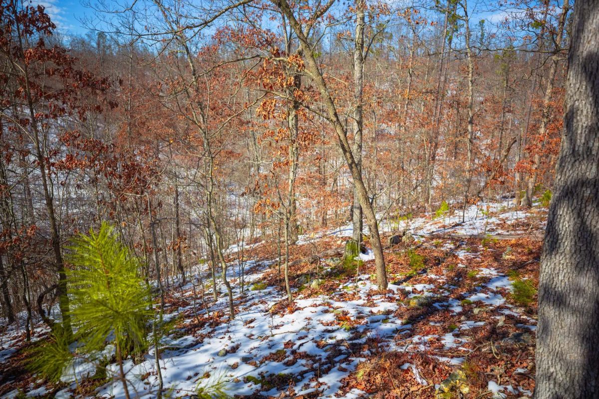 Decorative background for Sleepy Hollow Phase I Tract 26 image 19