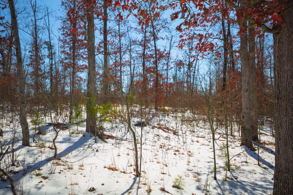 Decorative background for Sleepy Hollow Phase I Tract 26 image 20