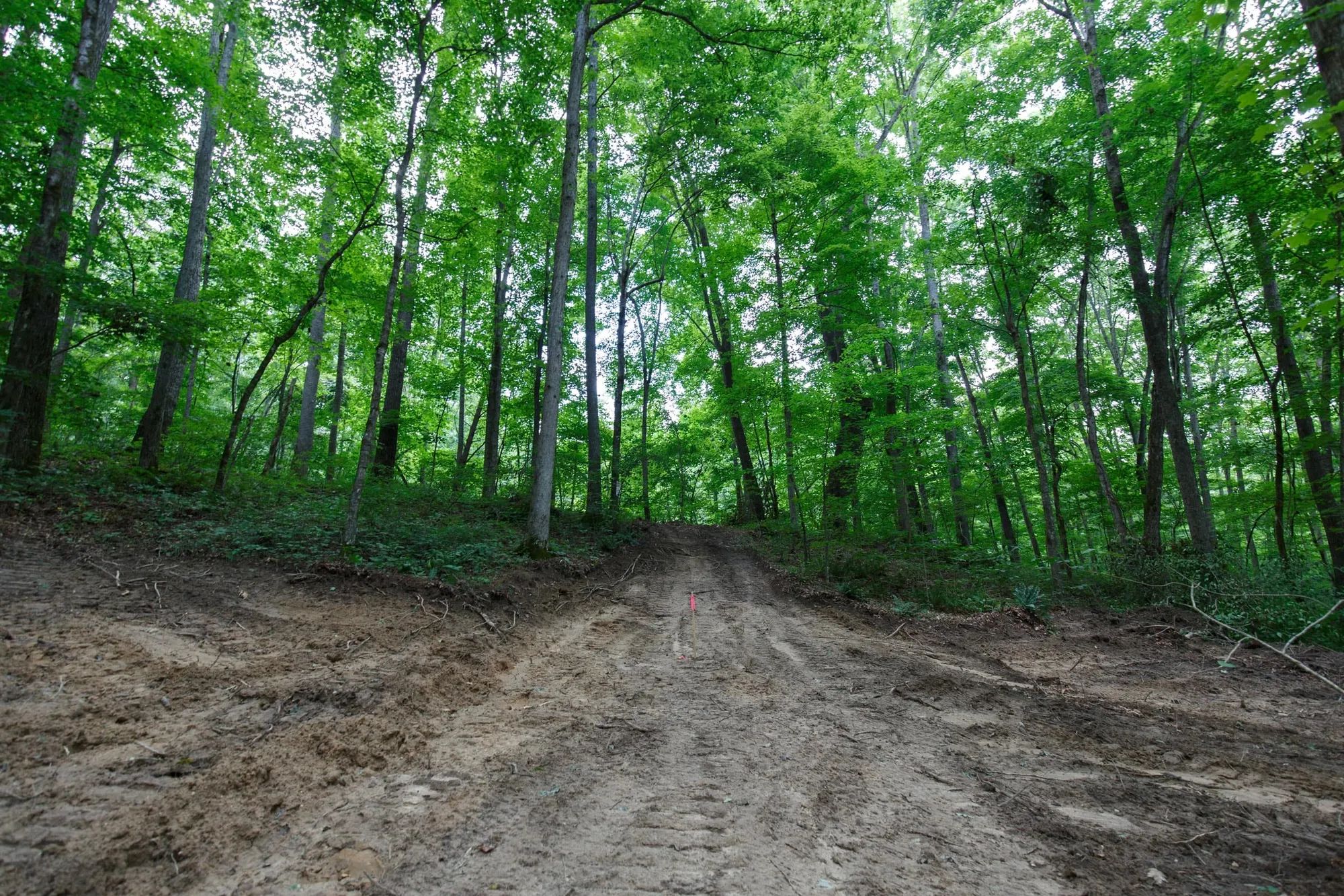 Rolling Hills Tract 11 in Wayne County, KY