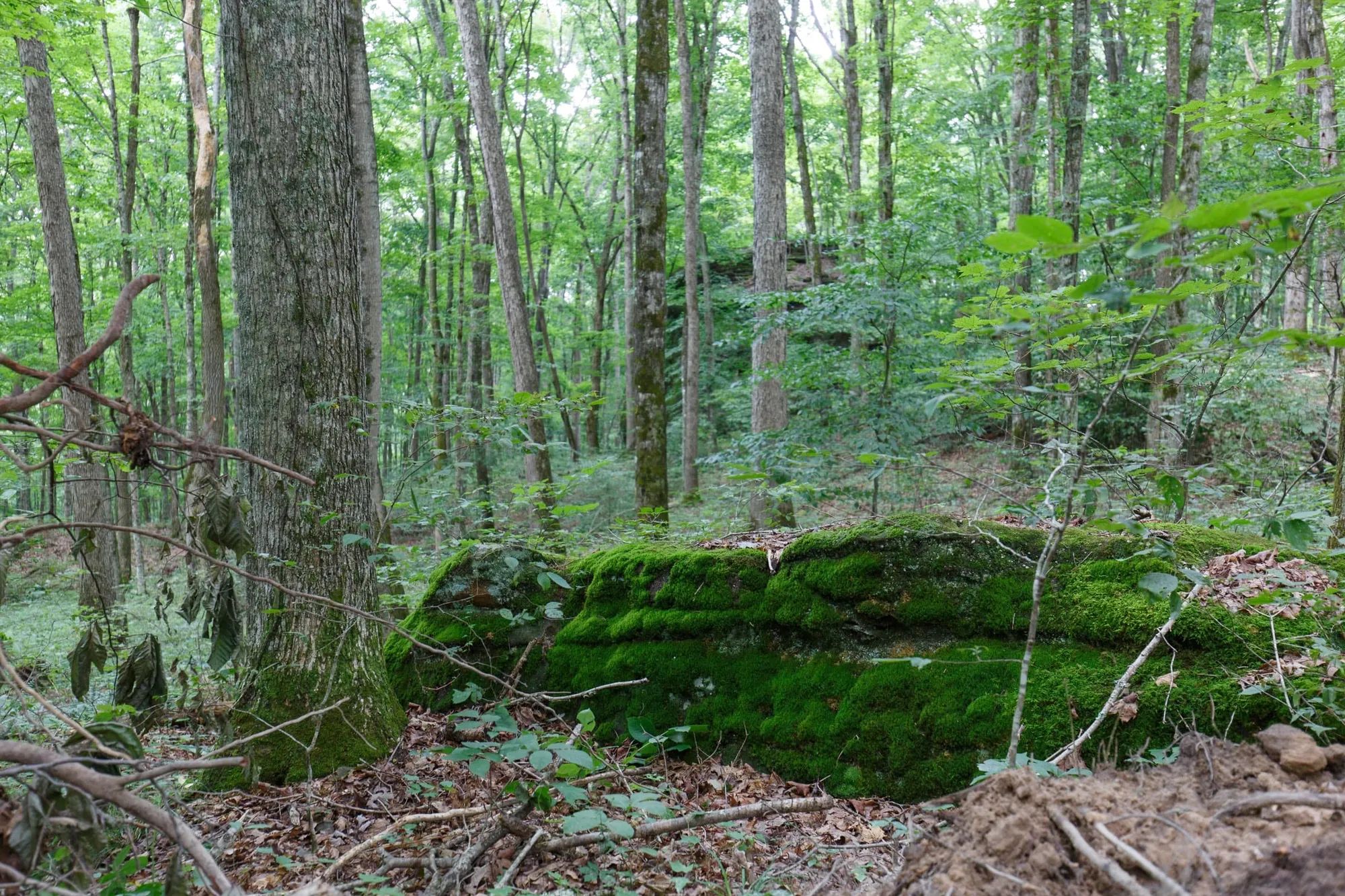 Rolling Hills Tract 11 in Wayne County, KY
