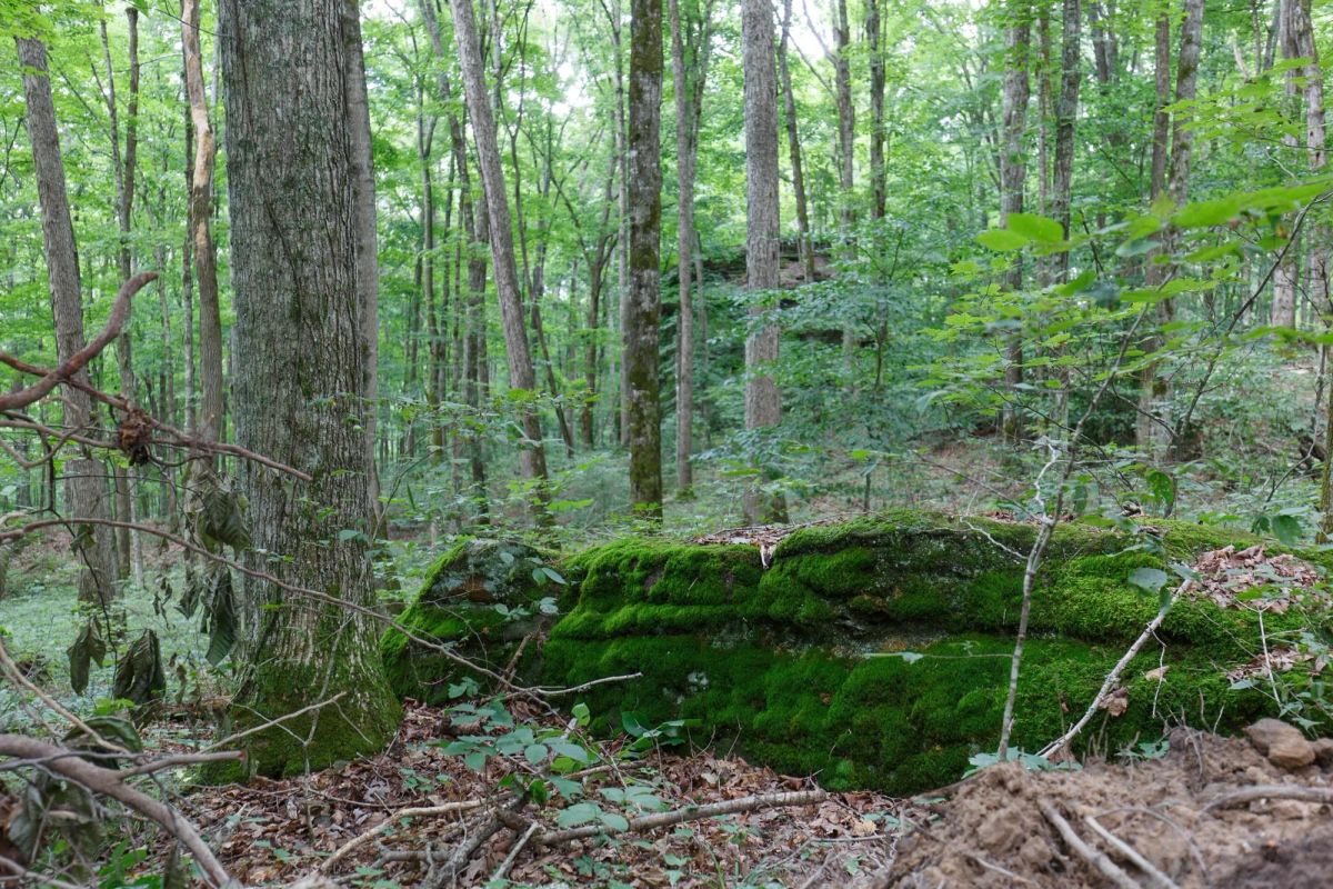 Rolling Hills Tract 11 - Image 3