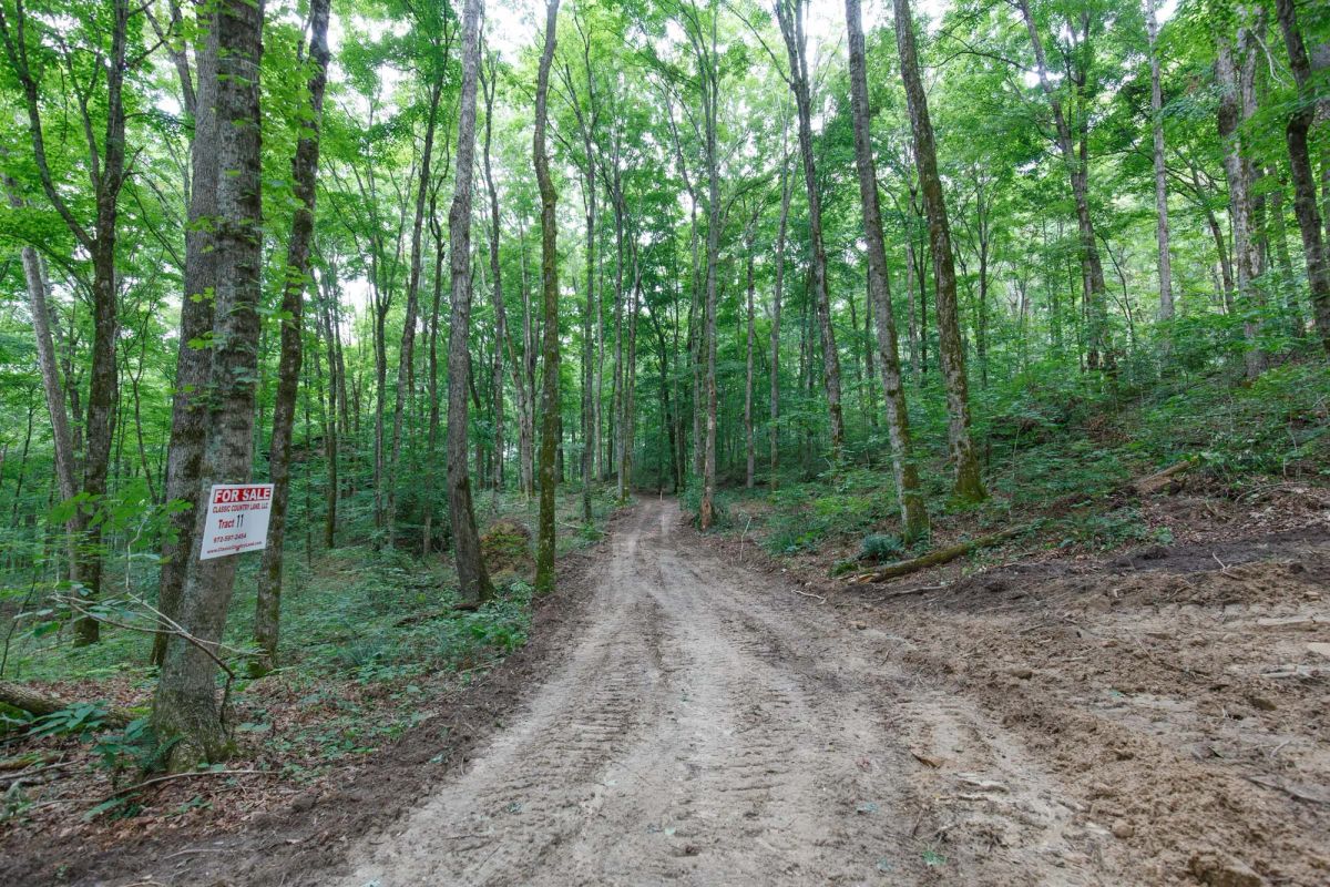 Decorative background for Rolling Hills Tract 11 image 5