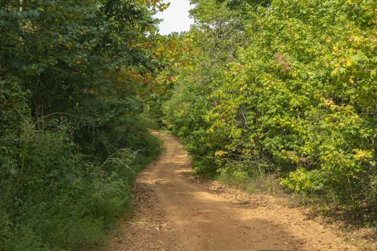 Big White Oak Tract 60 - Main image