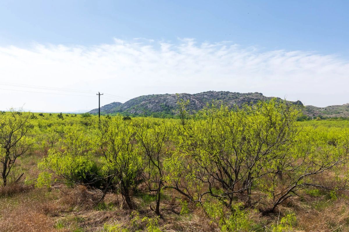 Hackberry Fields Tract 19 - Image 2
