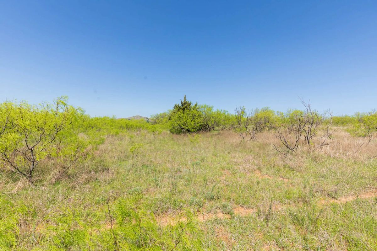 Decorative background for Hackberry Fields Tract 19 image 5