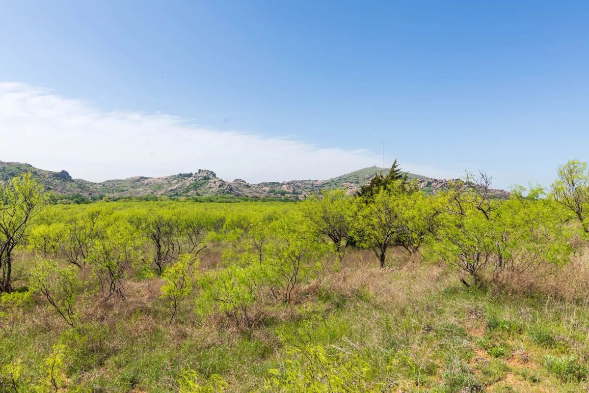 Decorative background for Hackberry Fields Tract 19 image 6