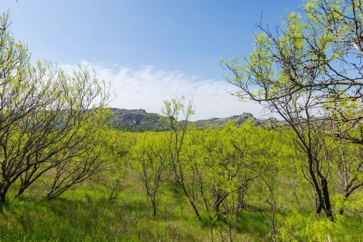 Decorative background for Hackberry Fields Tract 19 image 9