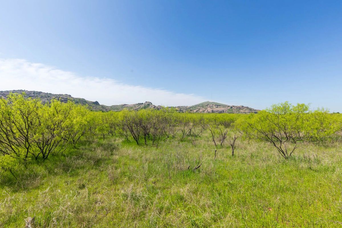 Decorative background for Hackberry Fields Tract 19 image 11