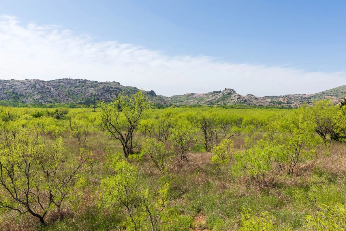 Decorative background for Hackberry Fields Tract 19 image 12