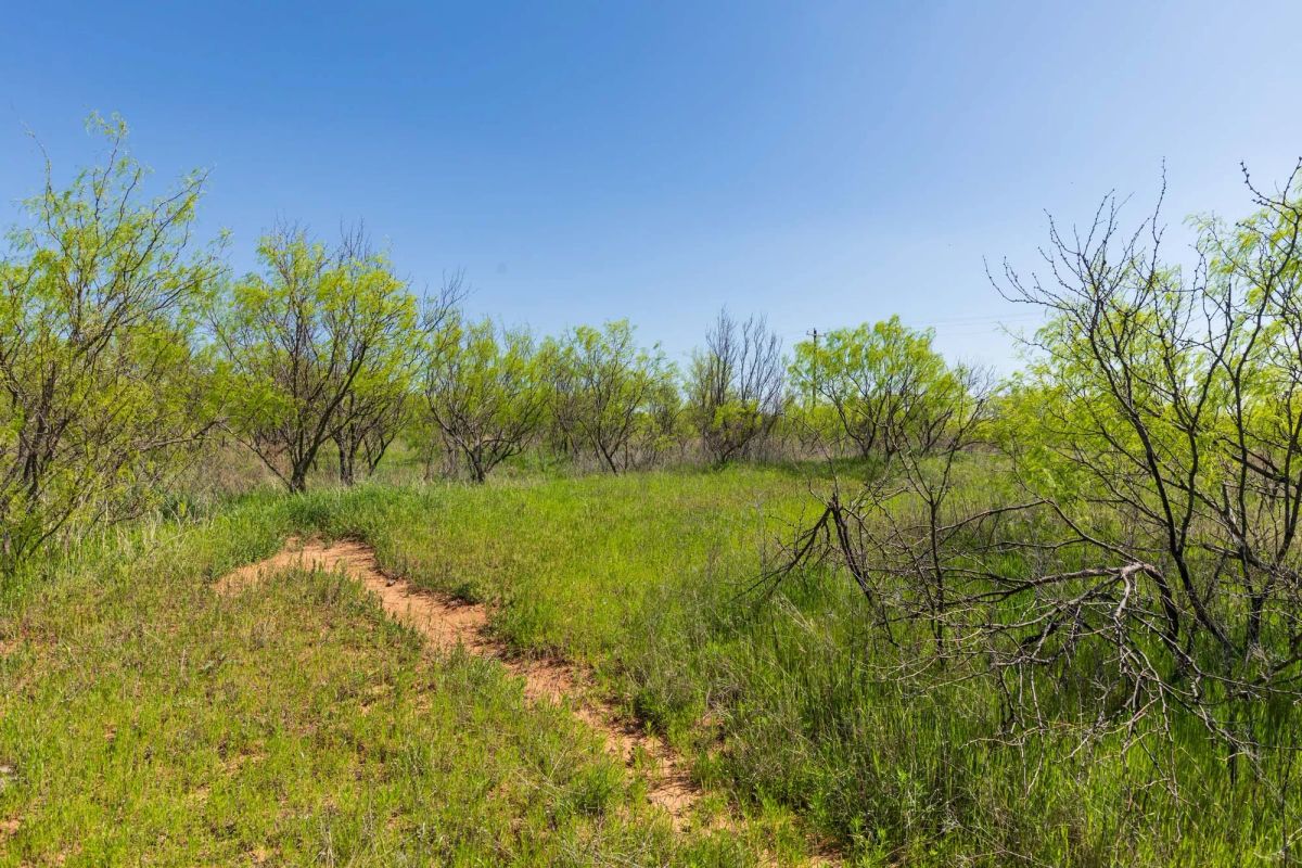Decorative background for Hackberry Fields Tract 19 image 13