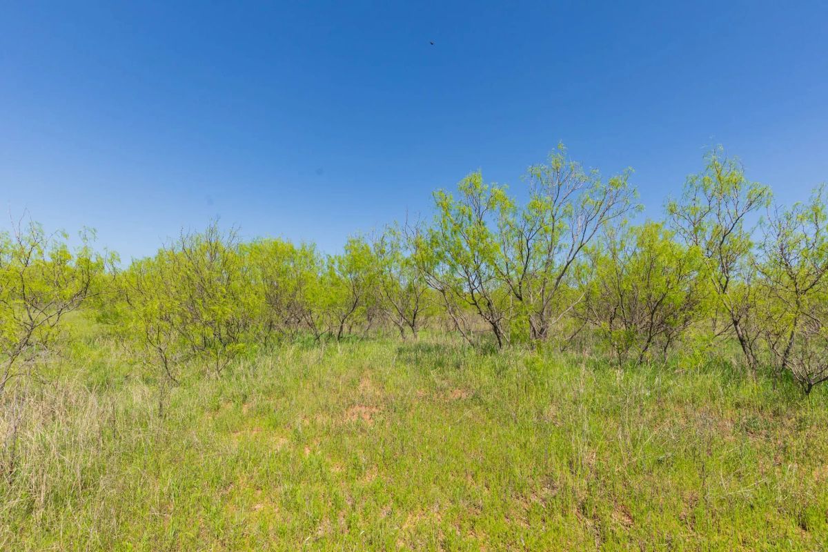 Decorative background for Hackberry Fields Tract 19 image 14