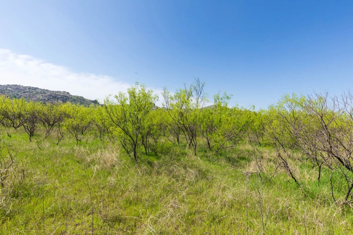 Decorative background for Hackberry Fields Tract 19 image 15