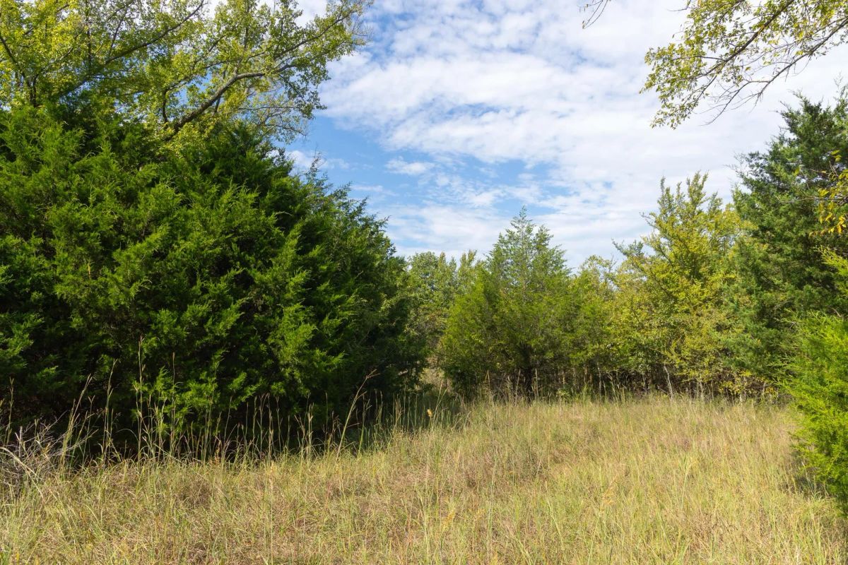 Decorative background for Reserves At Cattail Cove Phase II Tract 95 image 5