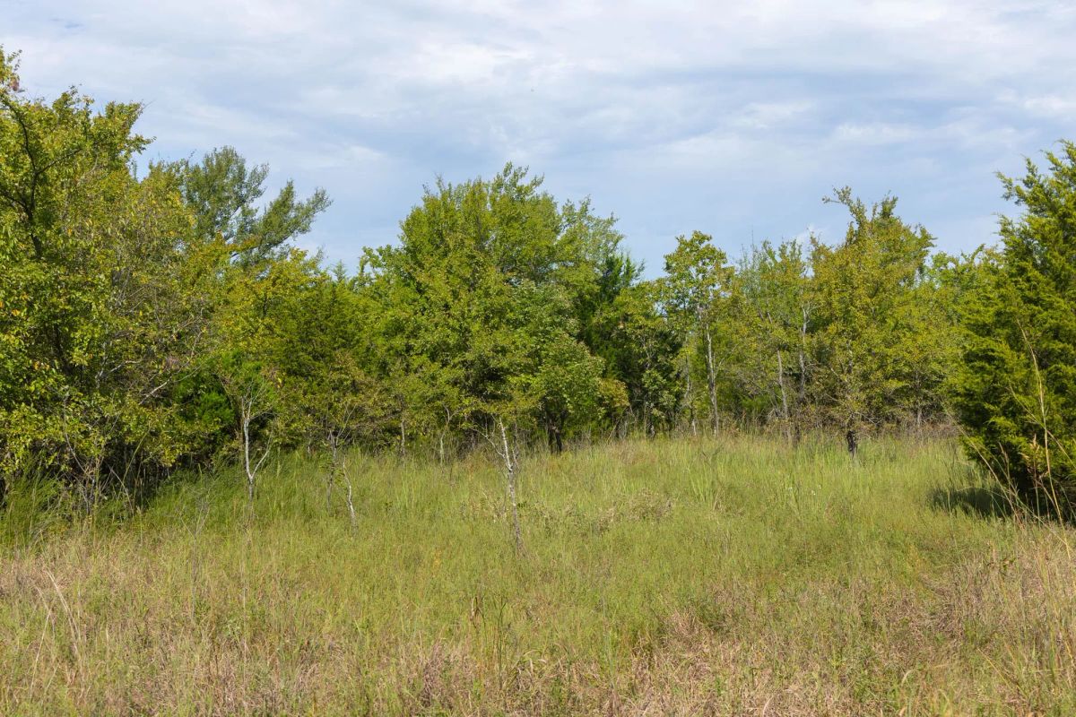 Decorative background for Reserves At Cattail Cove Phase II Tract 95 image 7