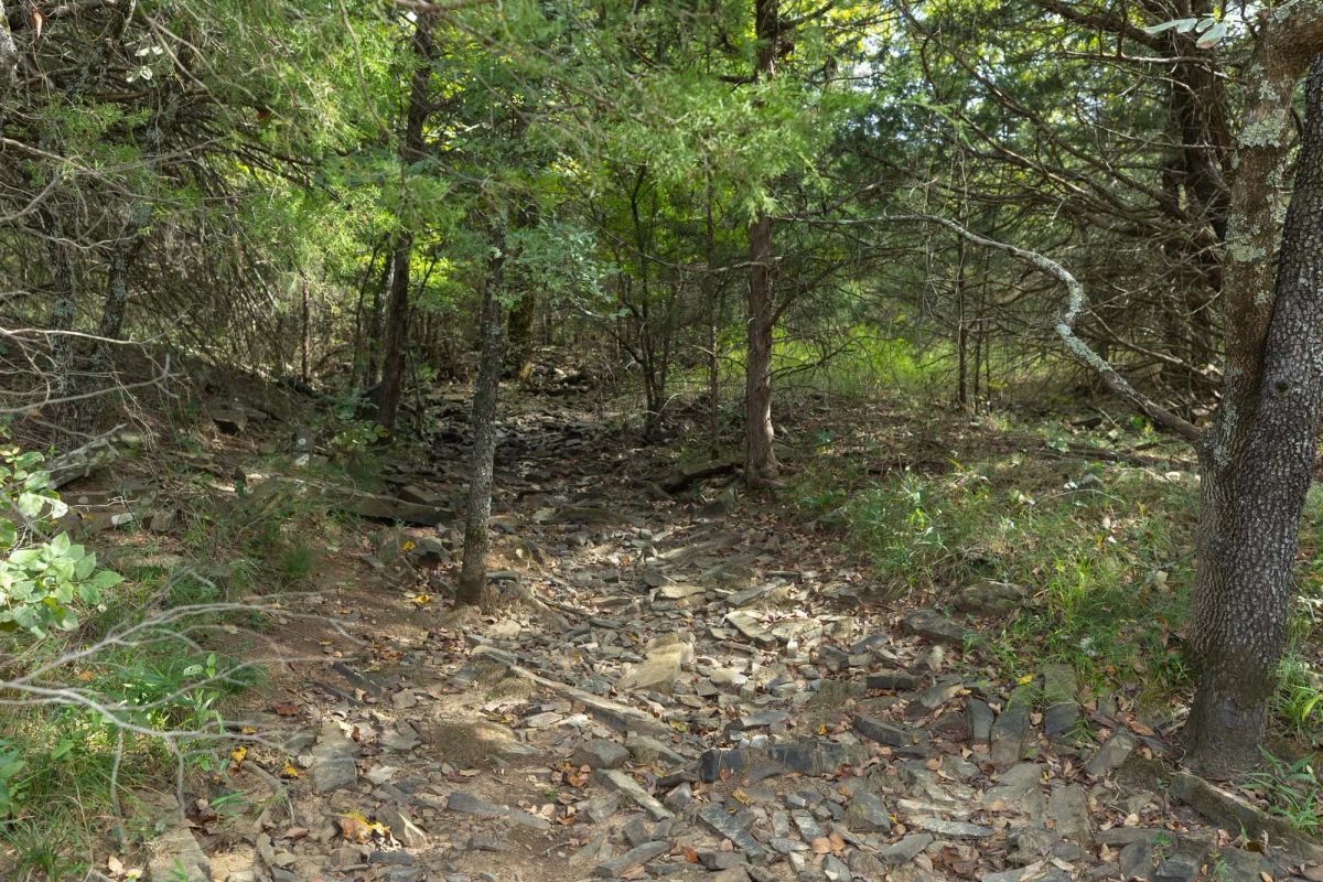 Decorative background for Reserves At Cattail Cove Phase II Tract 95 image 8