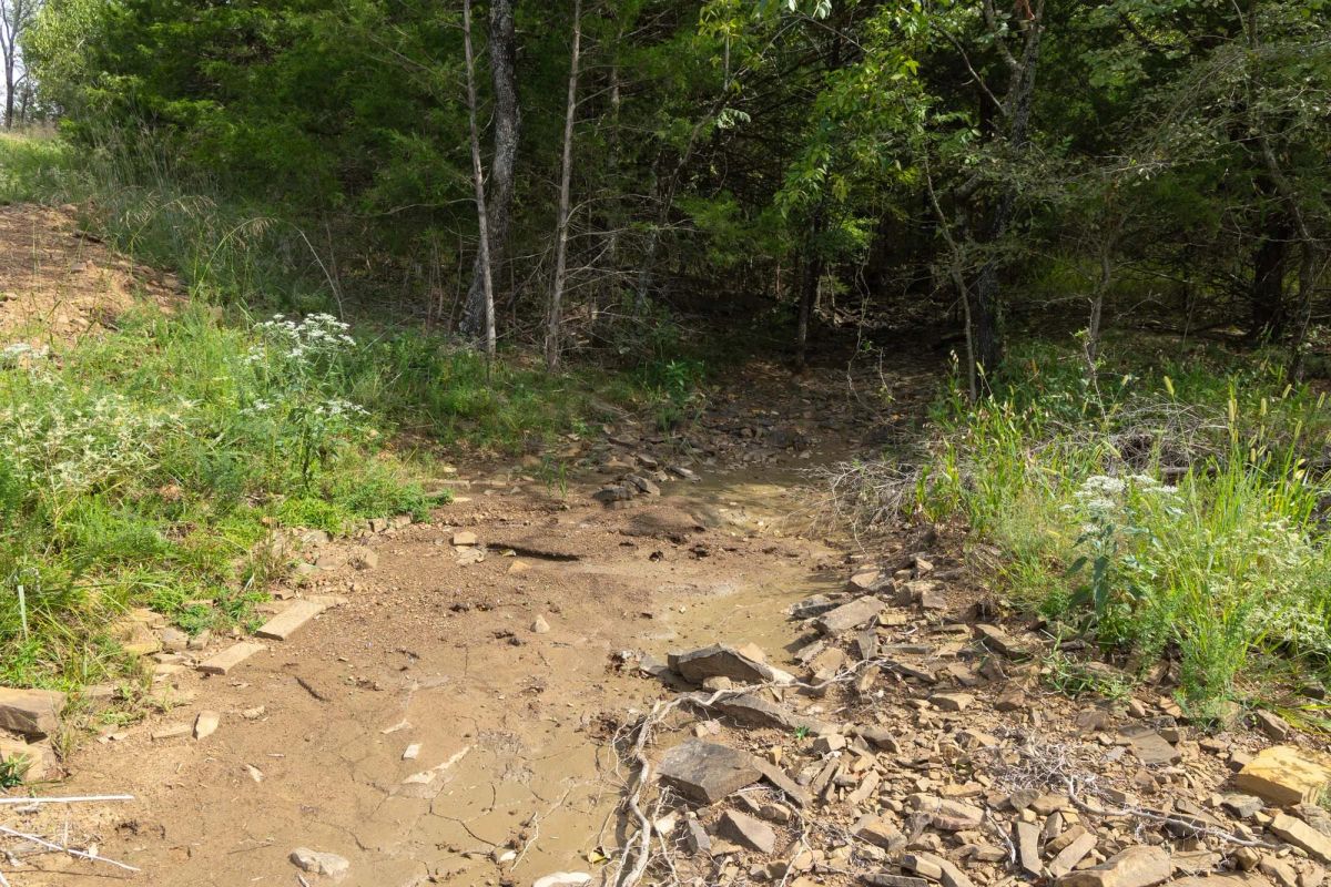 Decorative background for Reserves At Cattail Cove Phase II Tract 95 image 9