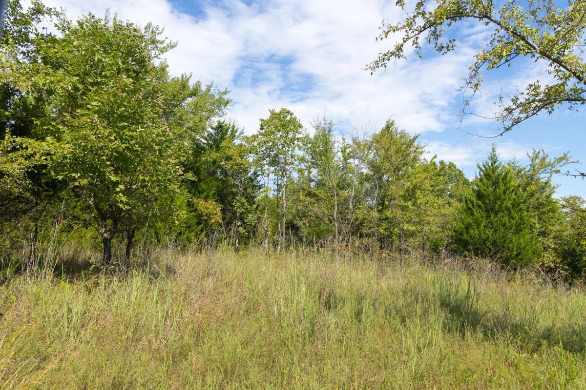 Decorative background for Reserves At Cattail Cove Phase II Tract 95 image 10