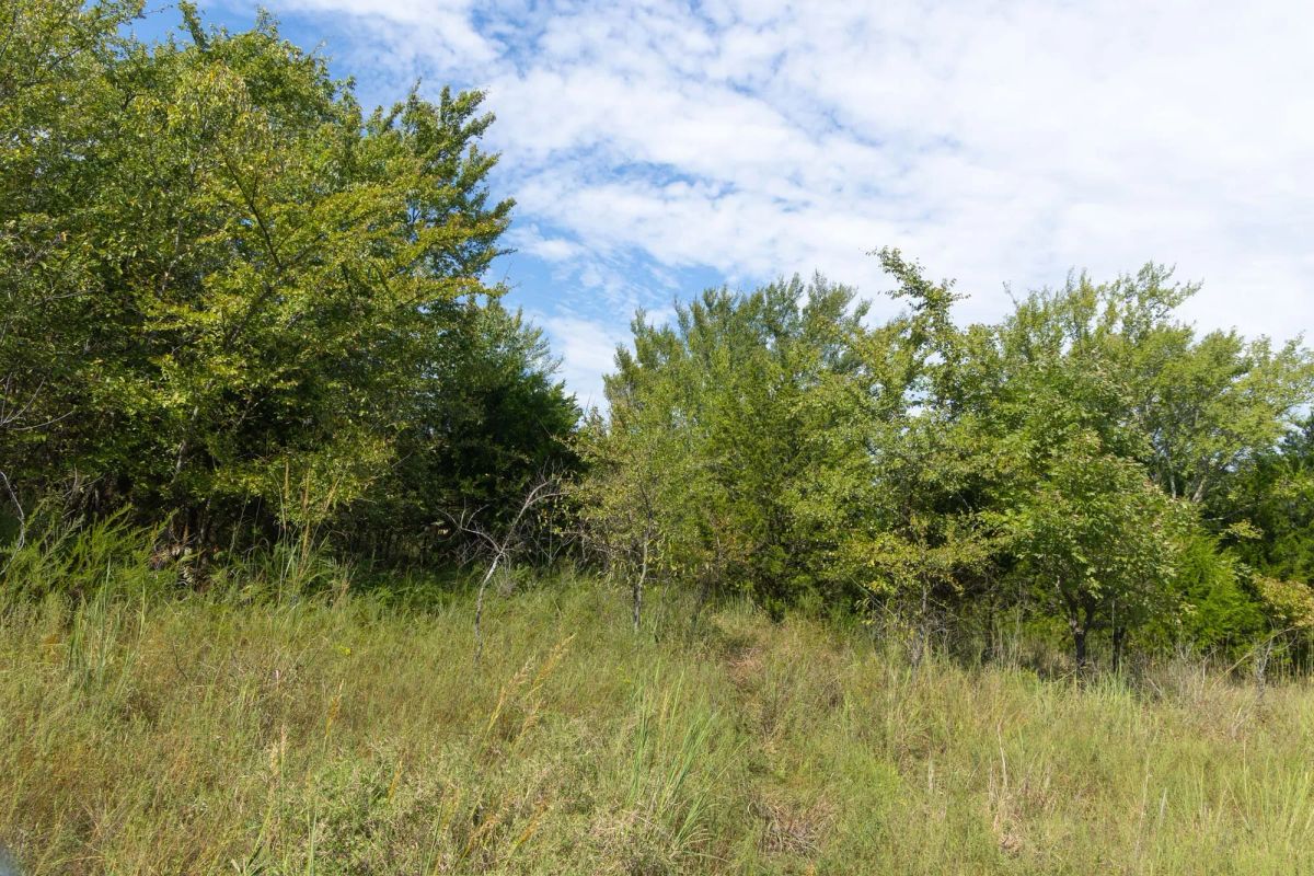 Decorative background for Reserves At Cattail Cove Phase II Tract 95 image 12