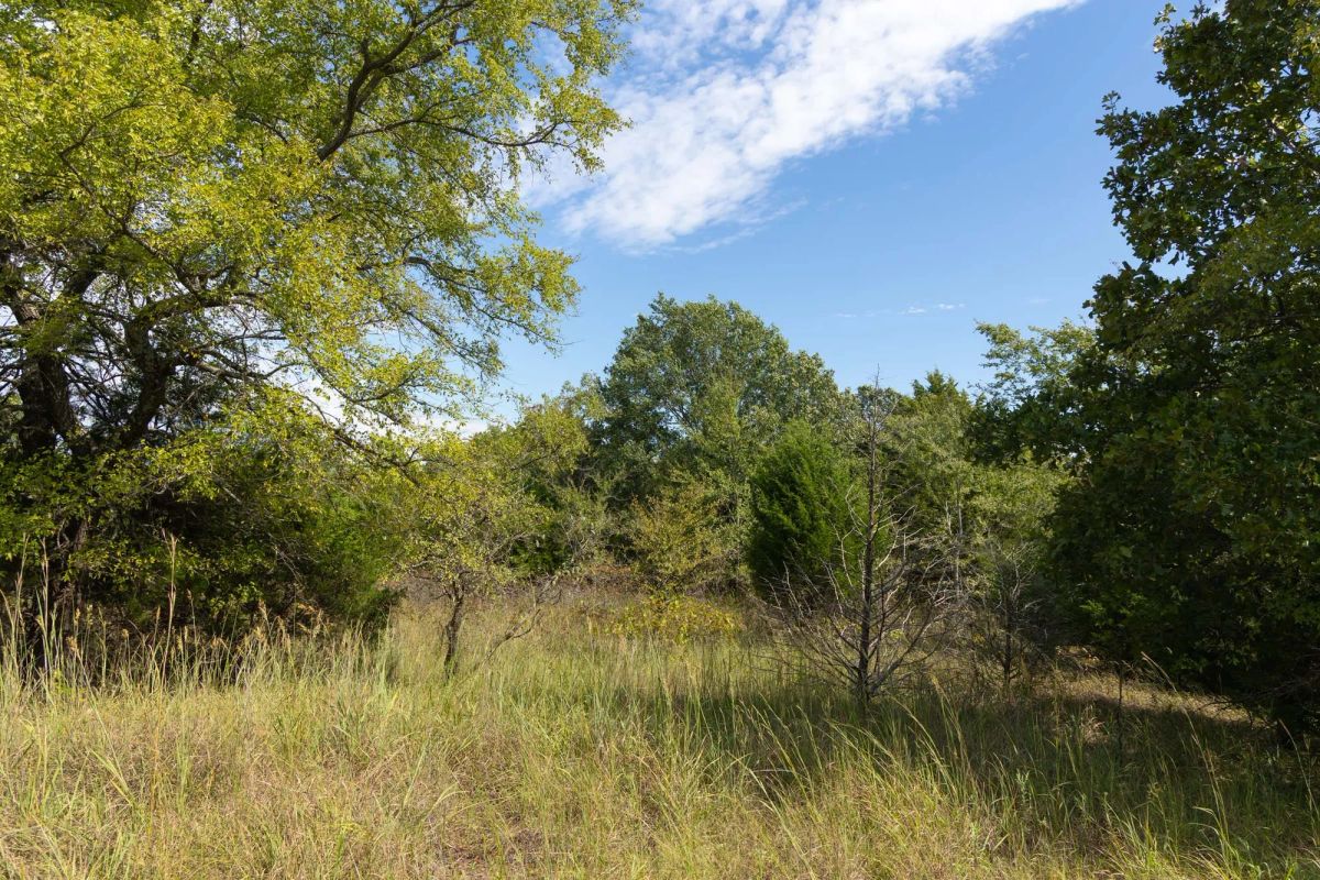 Decorative background for Reserves At Cattail Cove Phase II Tract 95 image 13