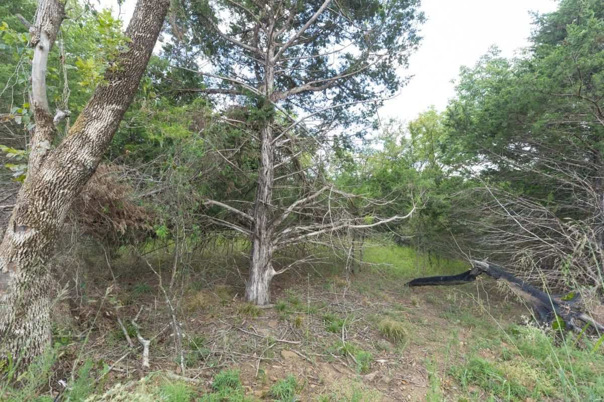 Decorative background for Reserves At Cattail Cove Phase II Tract 95 image 14