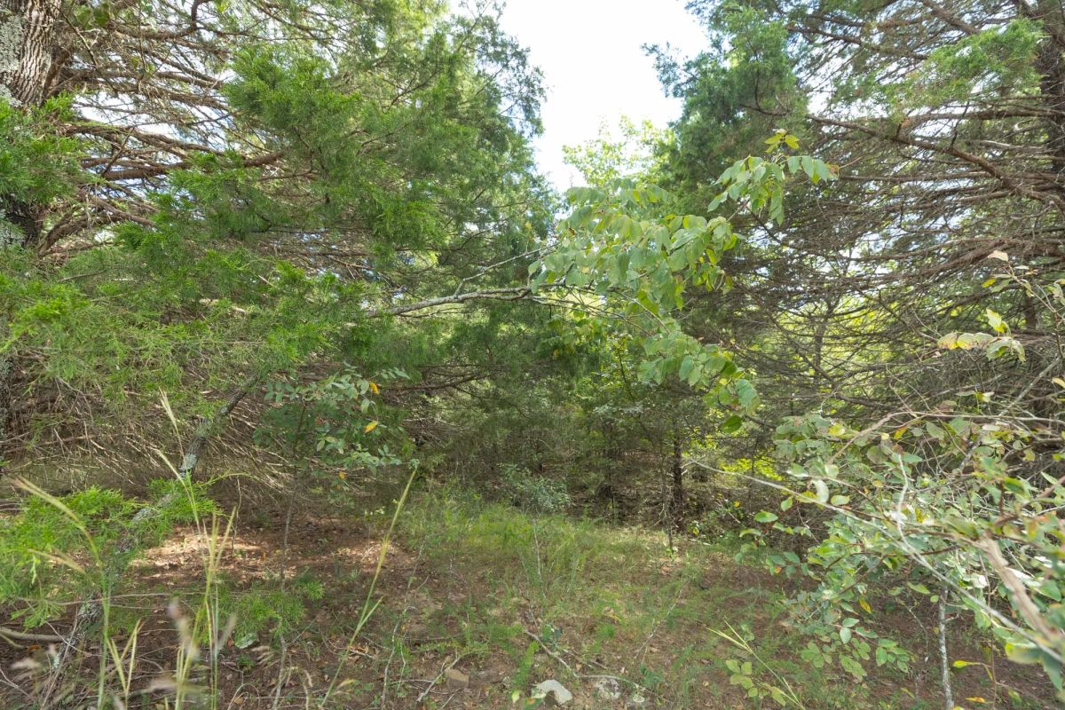 Decorative background for Reserves At Cattail Cove Phase II Tract 95 image 15