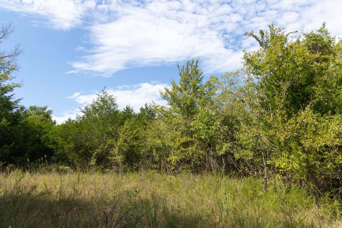 Decorative background for Reserves At Cattail Cove Phase II Tract 95 image 16