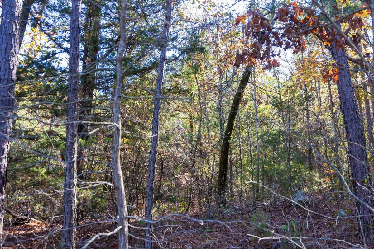 Stone Bridge Reserve Tract 29 - Image 3