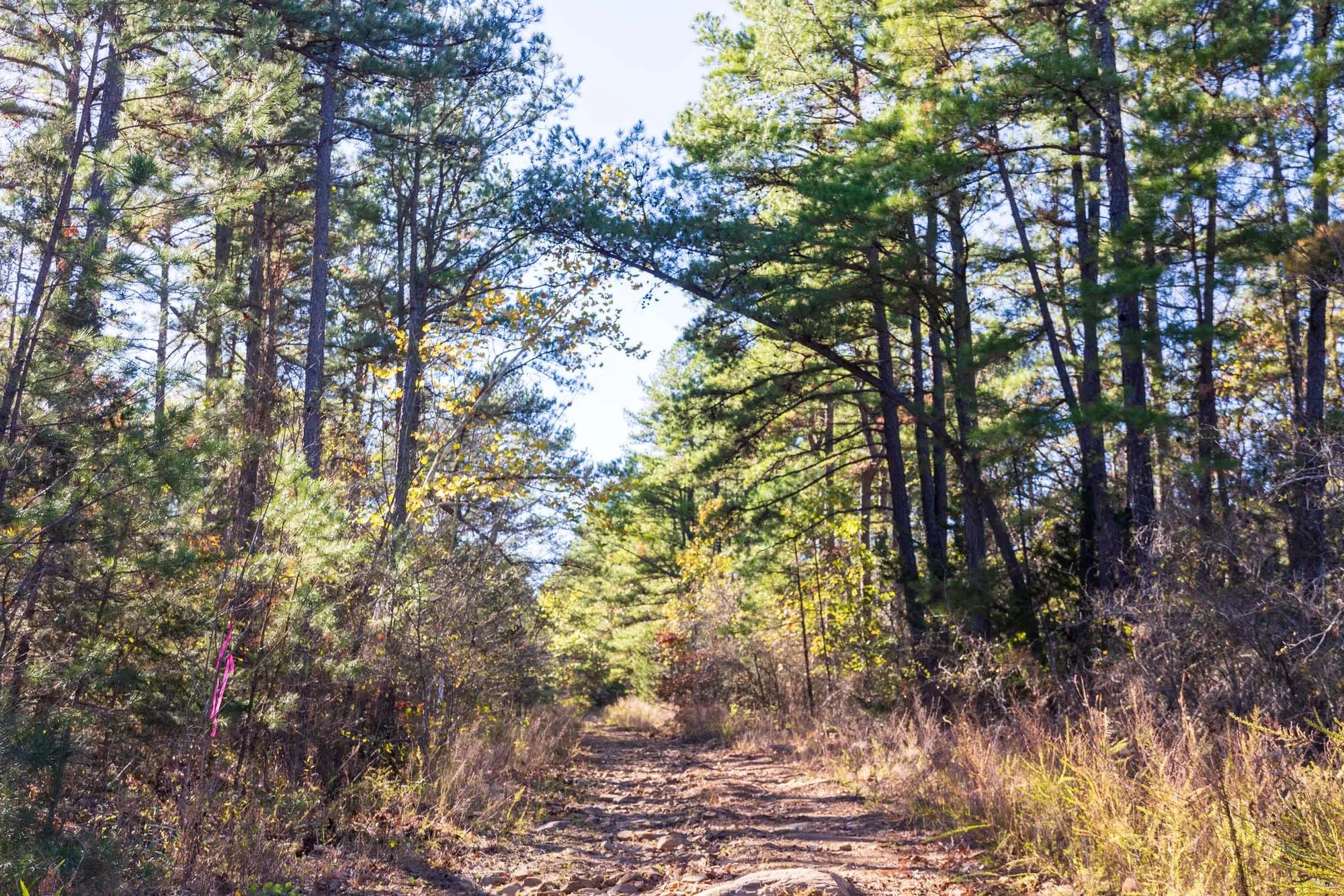 Stone Bridge Reserve Tract 29 in Haskell County, OK