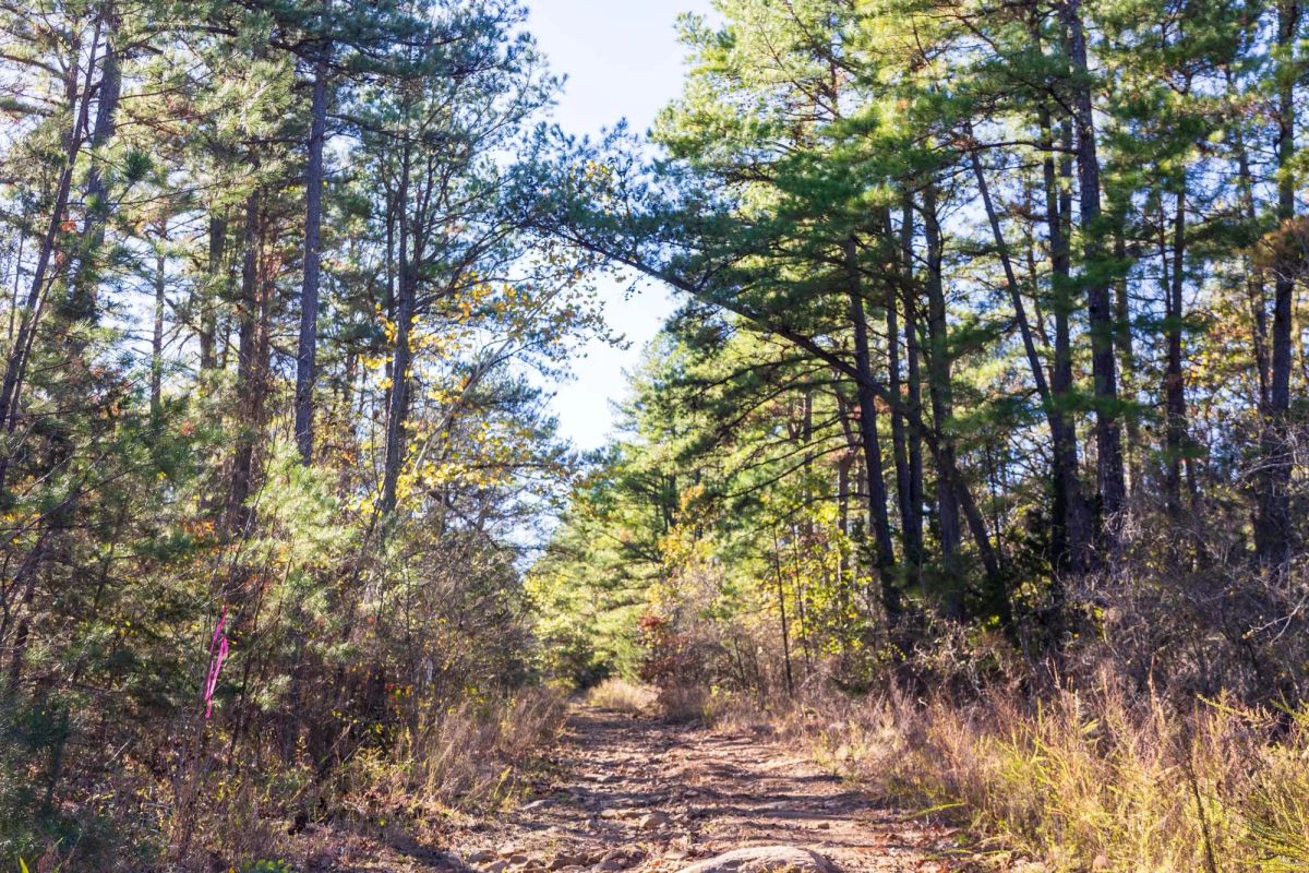 Stone Bridge Reserve Tract 29 - Image 4