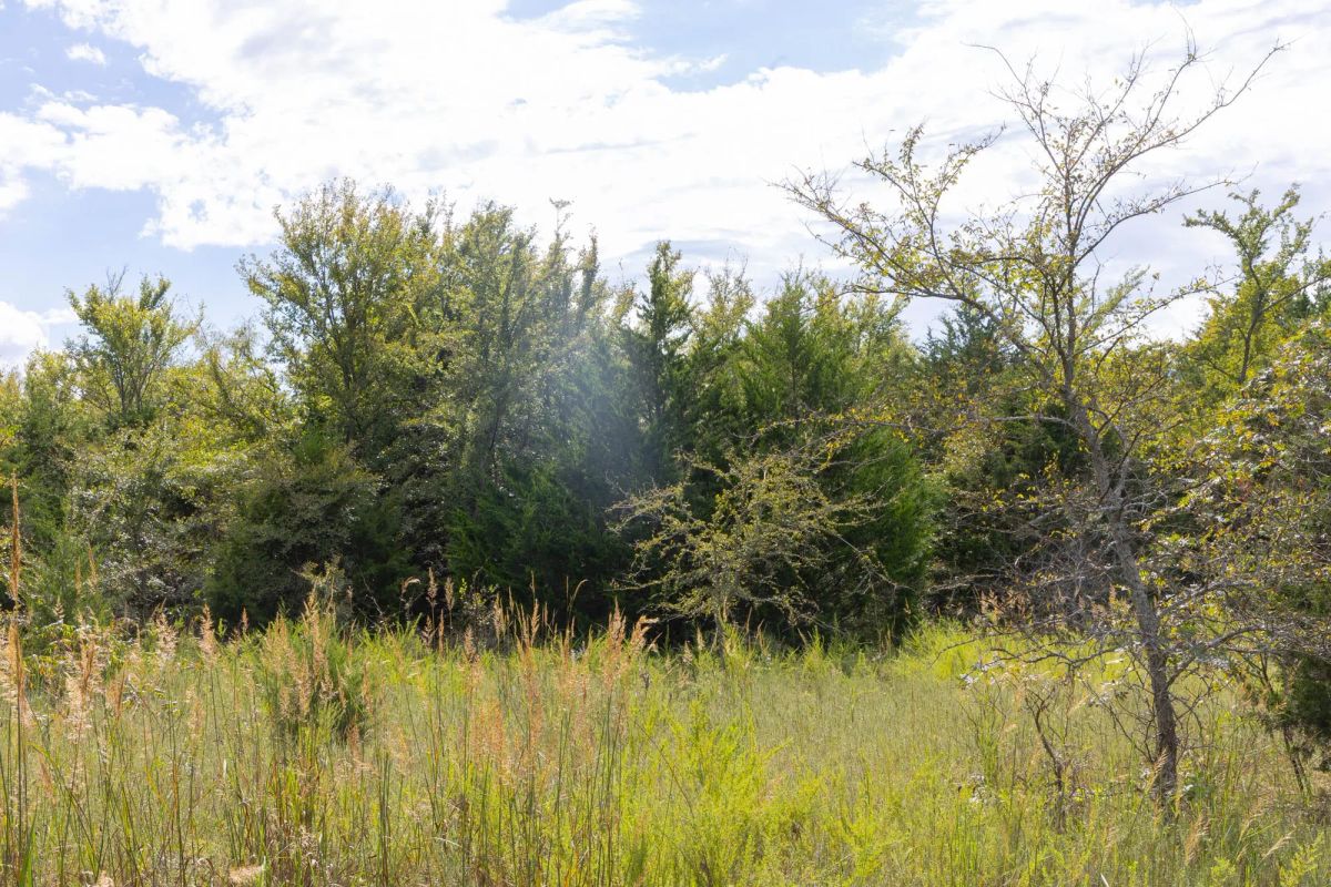 Decorative background for Reserves At Cattail Cove Phase II Tract 61 image 8