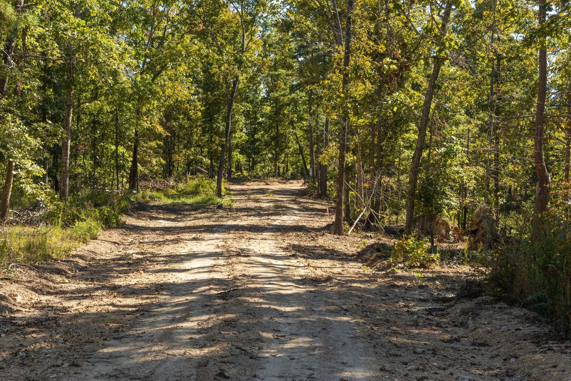 Fox Hollow Tract 6