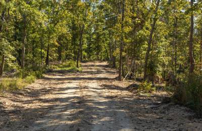 Fox Hollow Tract 6