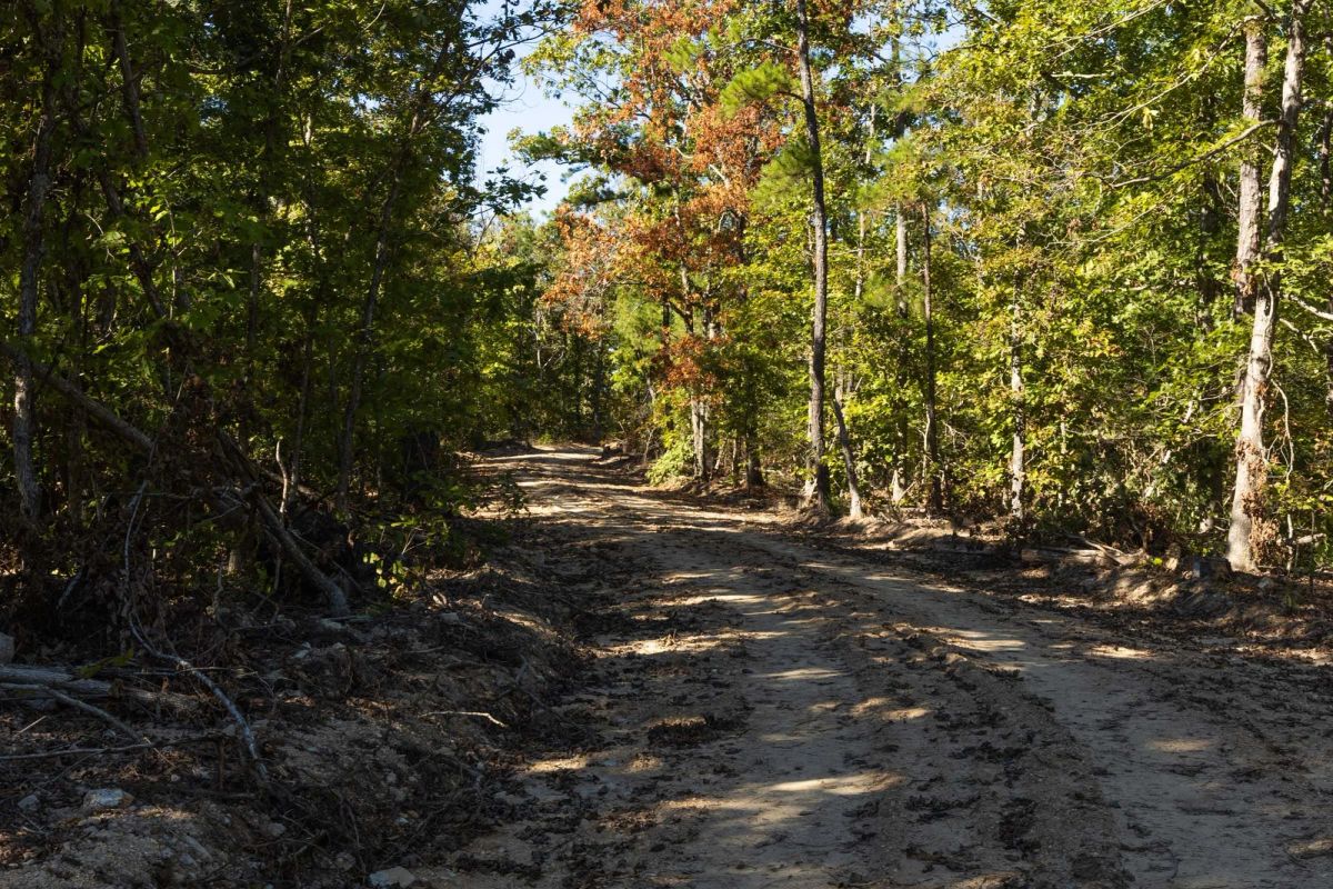 Decorative background for Fox Hollow Tract 6 image 6