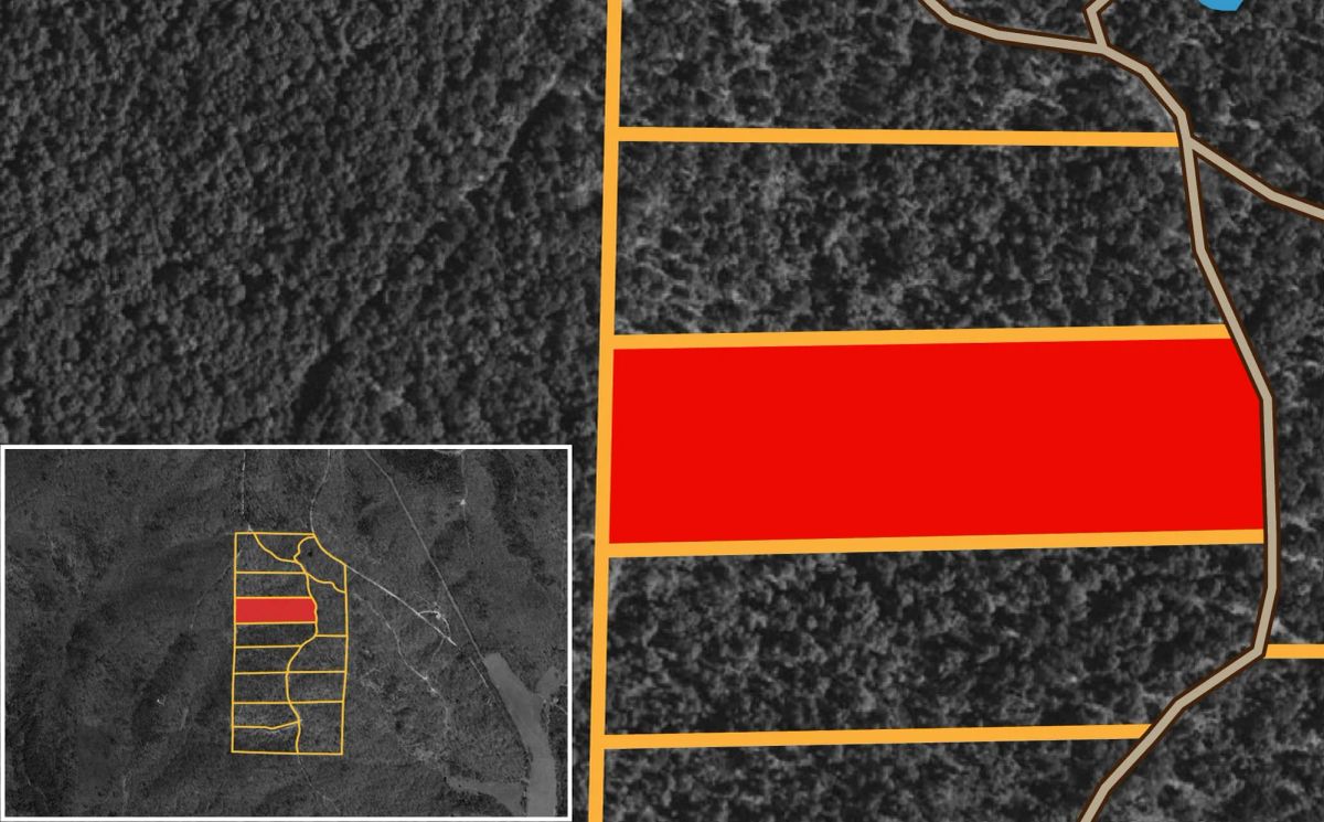 Decorative background for Fox Hollow Tract 6 image 11