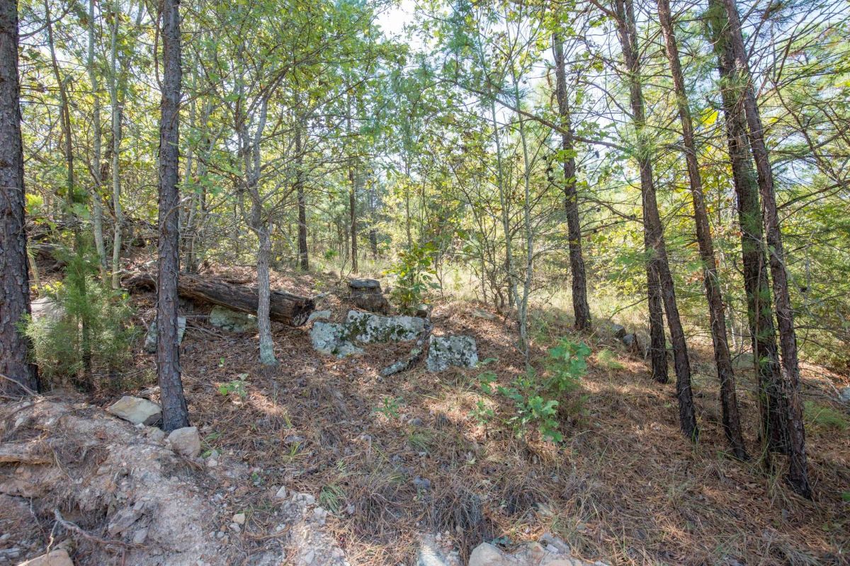 Stone Bridge Phase I Tract 72 - Image 3