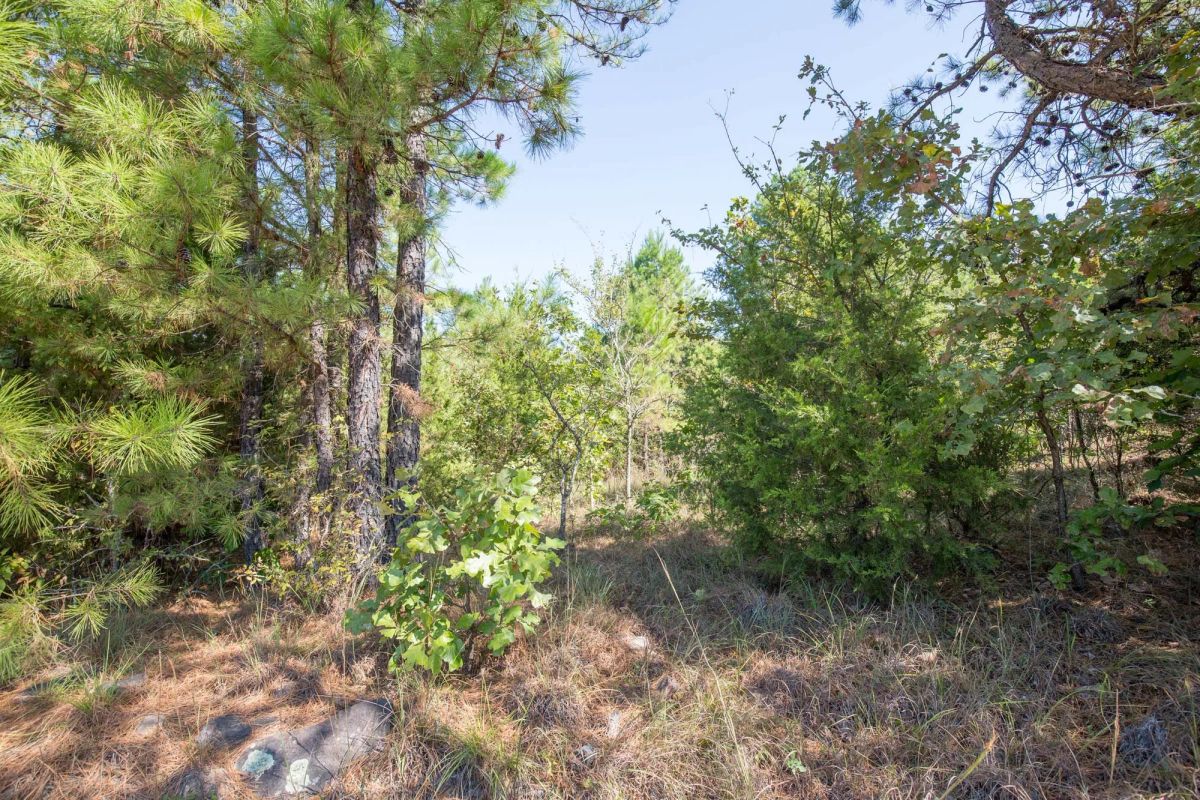 Decorative background for Stone Bridge Phase I Tract 72 image 8