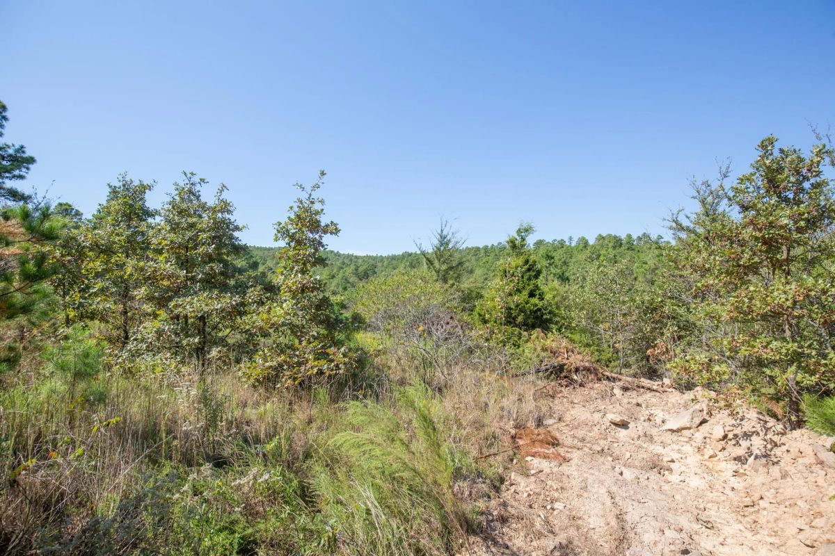 Decorative background for Stone Bridge Phase I Tract 72 image 9