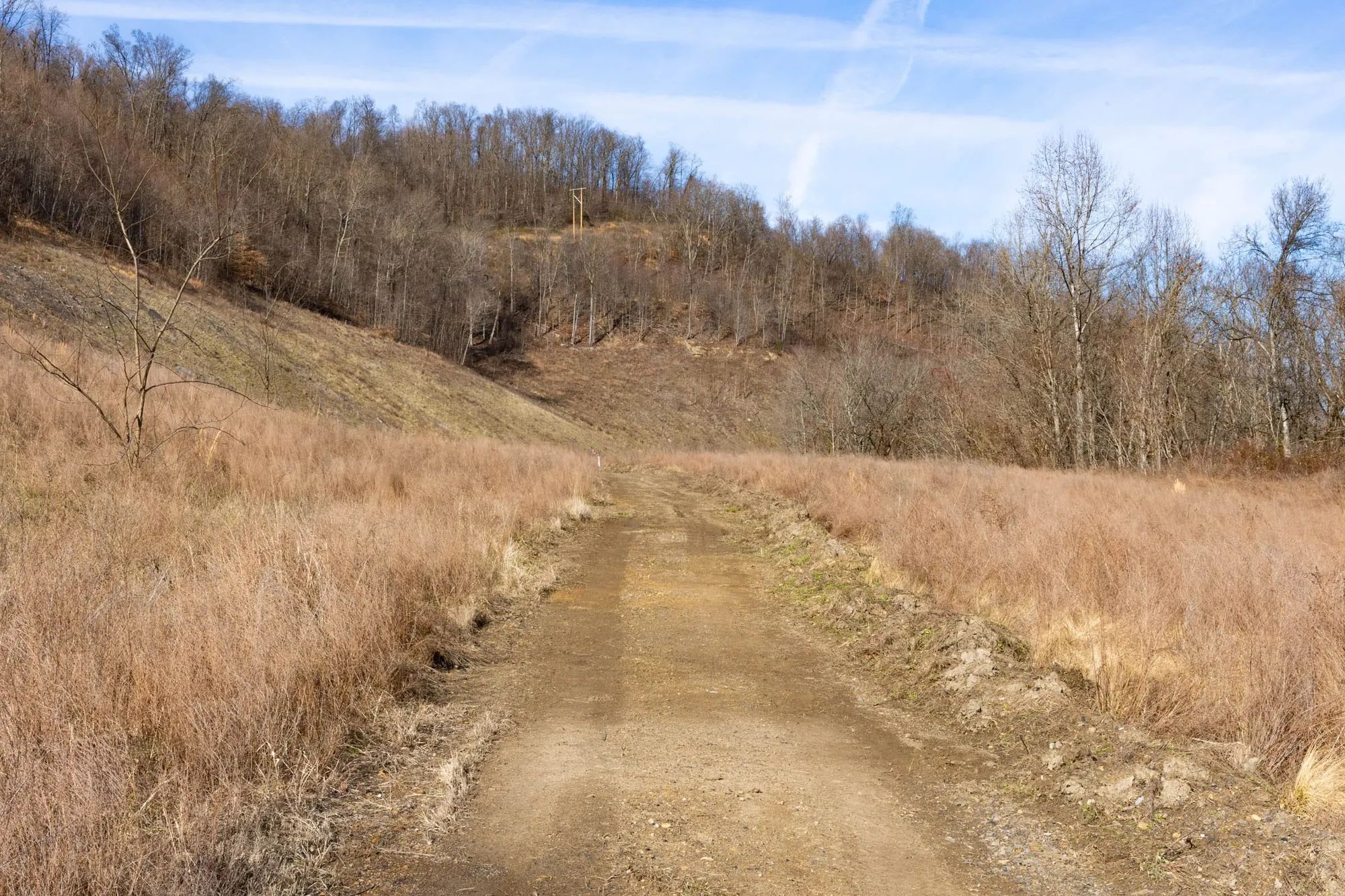 Jade Pass Tract 4 in Whitley County, KY