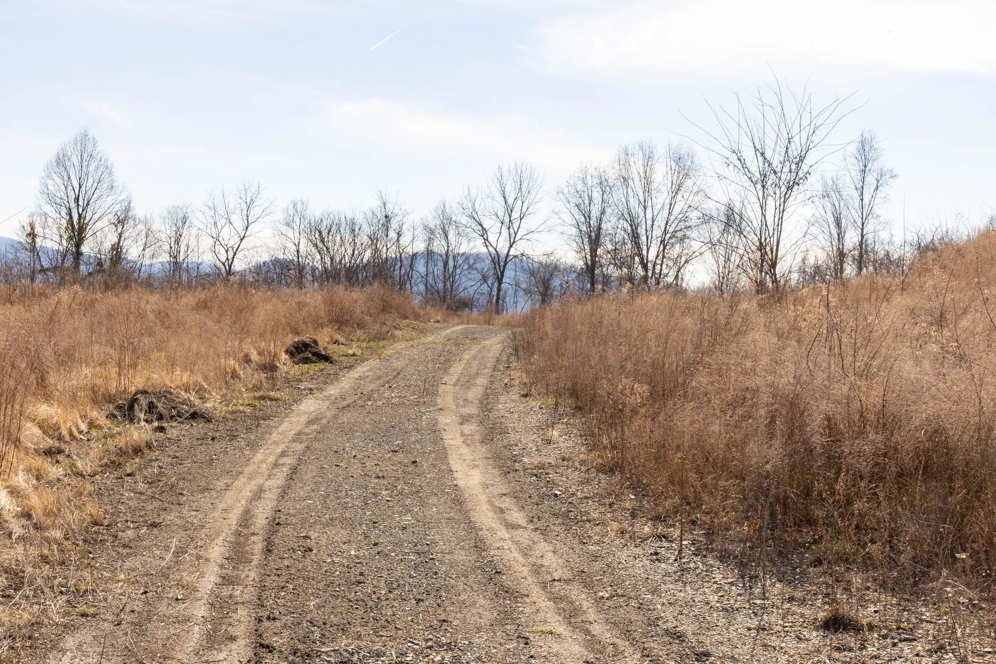 Jade Pass Tract 4 in Whitley County, KY