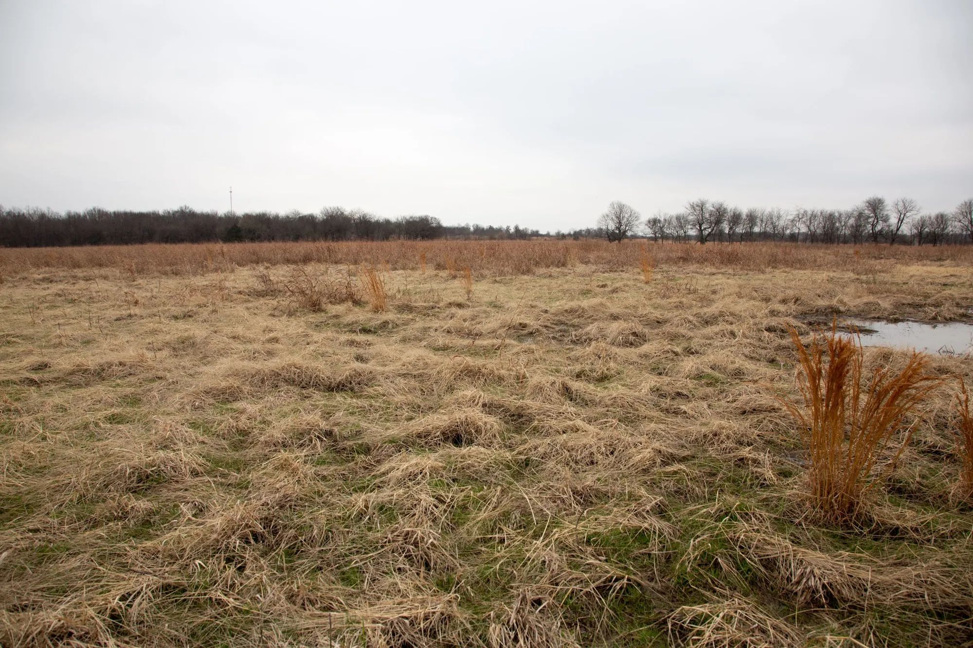 Canadian Plains Tract 24 in Pittsburg County, OK